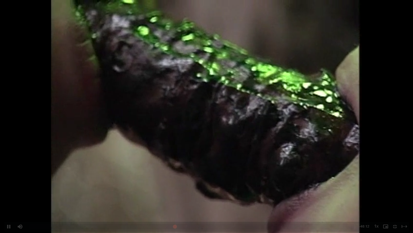 スクリーンショット (489).png