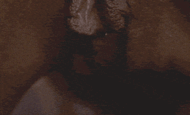 clip2.gif