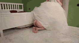 wd1.gif