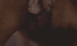 clip2.gif